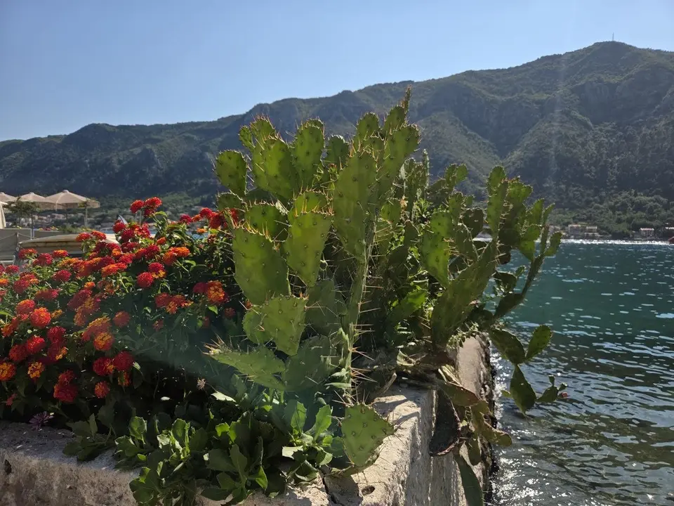 Foto von Tag 11: Das Nickerchen nach Kotor (6)