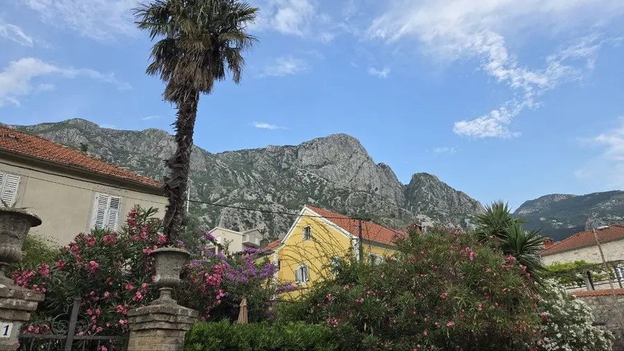 Foto von tag 11: Das Nickerchen nach Kotor (Kotor — Stein und Wasser)