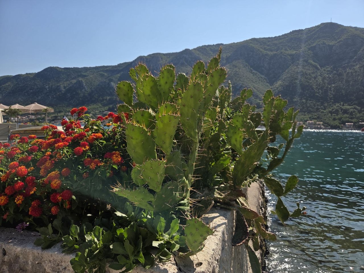 Foto von tag 11: Das Nickerchen nach Kotor — Kotor — Stein und Wasser