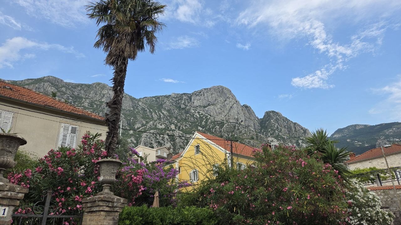 Foto von tag 11: Das Nickerchen nach Kotor — Kotor — Stein und Wasser