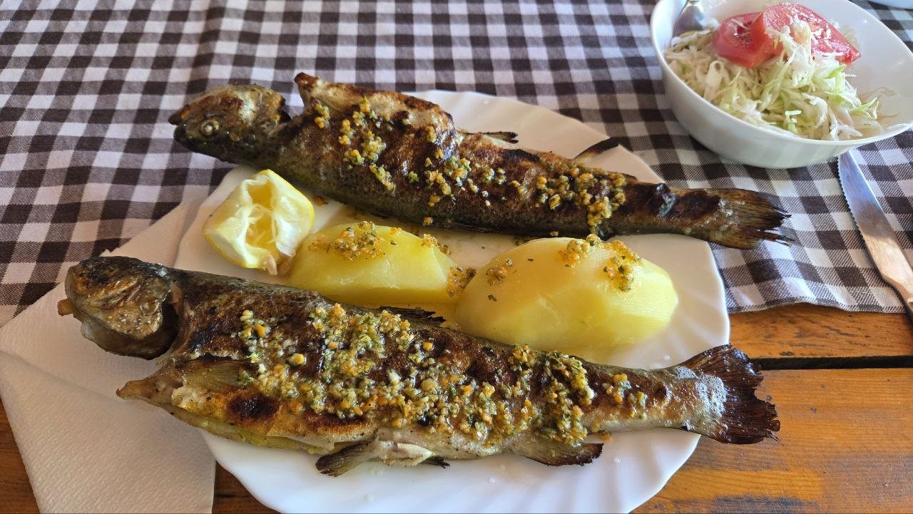 Foto von tag 15: Die Tara klaut den letzten Küstentag — Budva — Küstenmodus